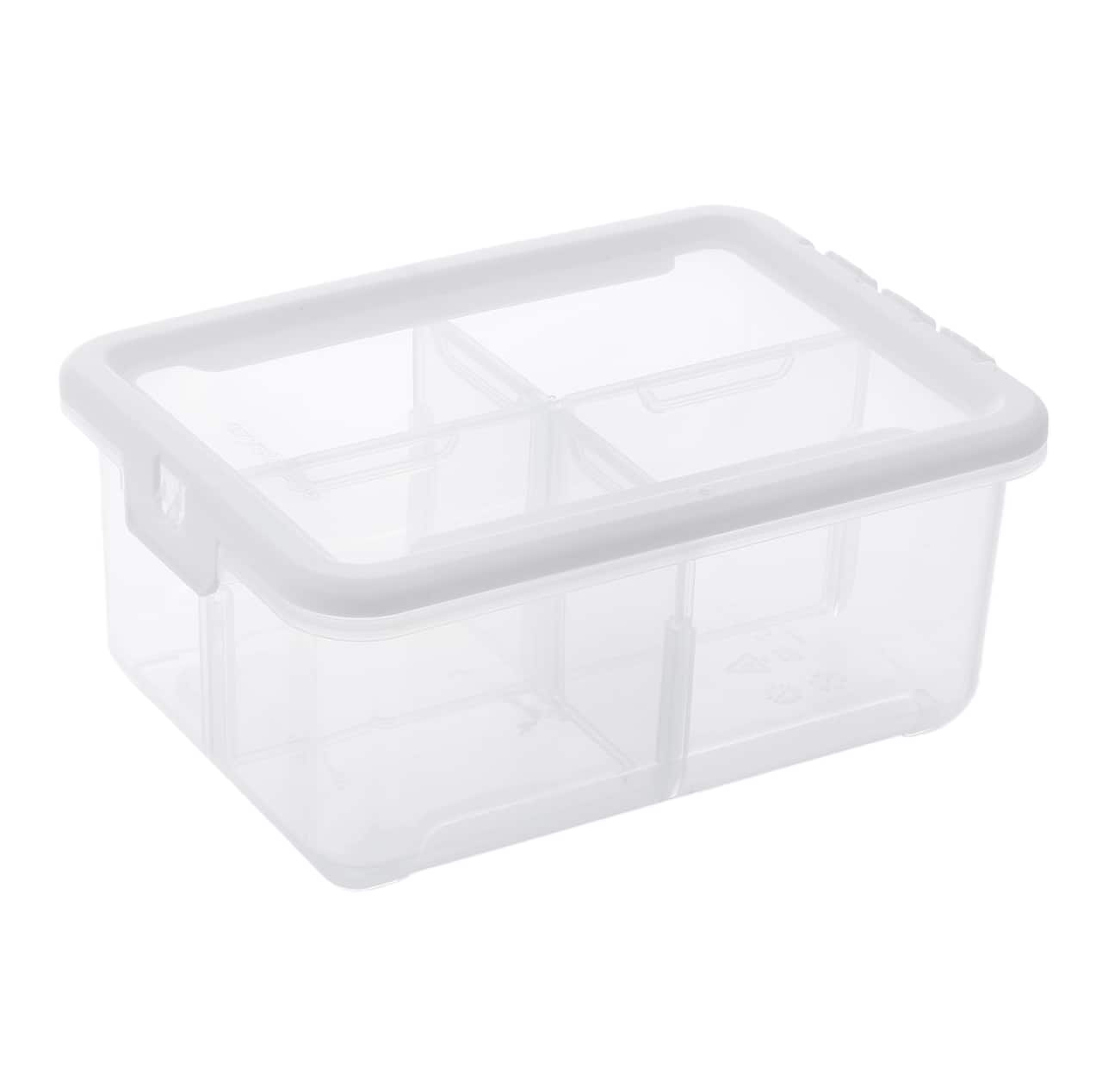 Ezy Storage 4-Compartment Storage Box